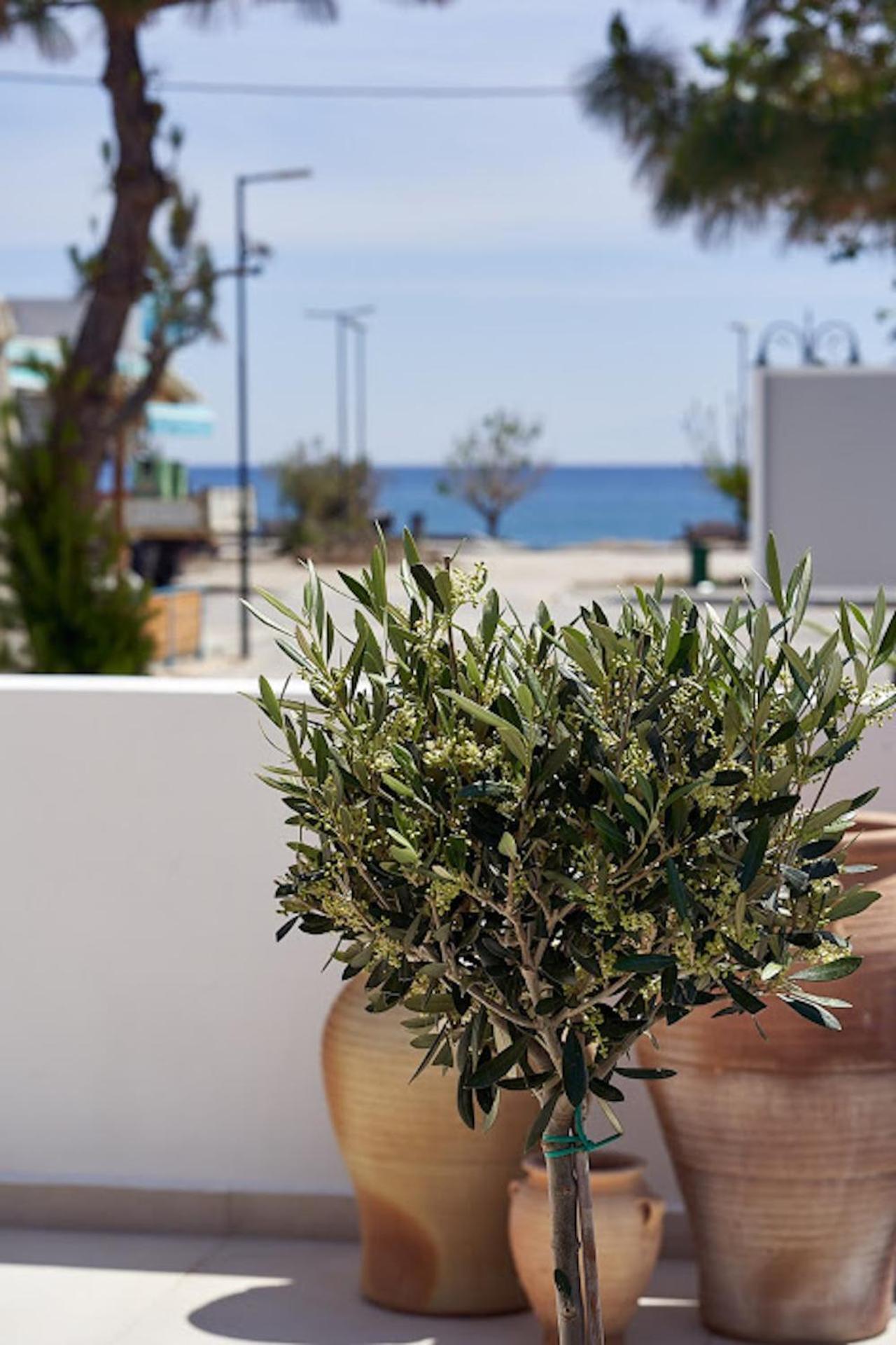Sia Mare Seaside Apartments Faliraki Room photo